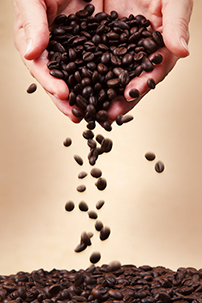 Coffee beans.